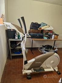 Elittica Kettler satura m 