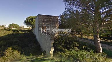 AMPIO TERRENO AGRICOLO ED EDIFICABILE