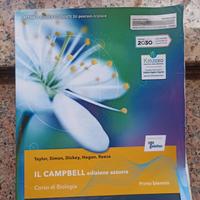 Il Campbell edizione azzurra