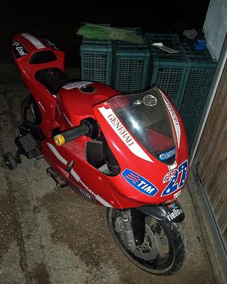 moto GP ducati