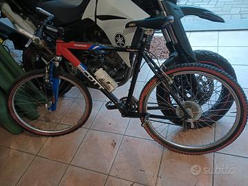 Mountain bike Scott