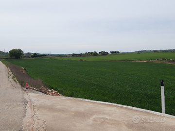 Terreno agricolo