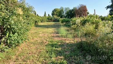Terreno agricolo per orto