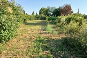 Terreno agricolo per orto