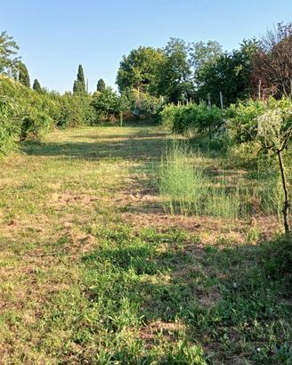 Terreno agricolo per orto