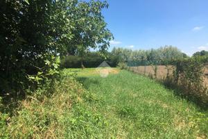 PORZIONE DI BIFAMILIARE A RONCOFERRARO