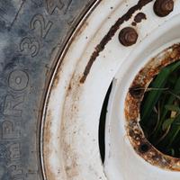 gomme per campo aperto