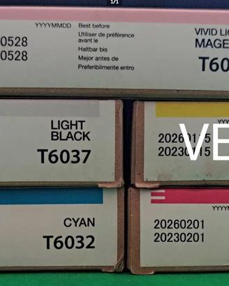 N°4Cartucce originali  epson t6036-t37-t32-t33