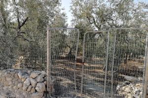 Terreno - Trani - Strad. Vicinale Monachelle