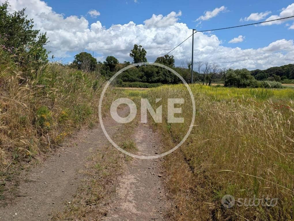 Terreno di 60000 m² a Ardea - Vista 2
