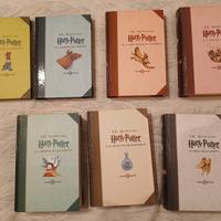 HARRY POTTER SAGA COMPLETA edizione MOTTO 