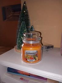 Candela Yanke Candle Exotic Fruits giara media 340