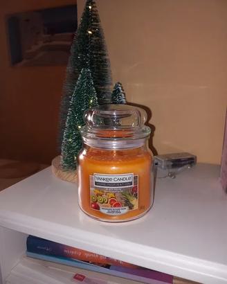 Candela Yanke Candle Exotic Fruits giara media 340