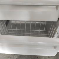congelatore ad incasso Rex tp100