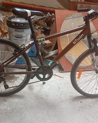 bicicletta 