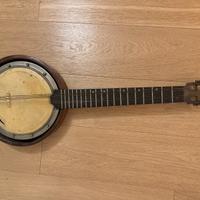 Chitarra banjo a 6 corde