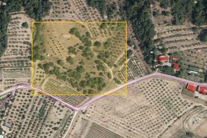 Terreno San Pancrazio - Il Poggio