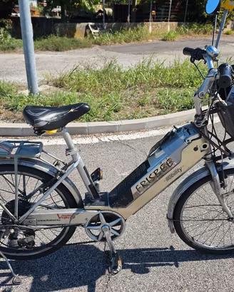 bicicletta elettrica Frisbee mobility 7