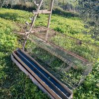 Gabbie per galline