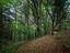 Immagine 28
