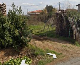 Terreno agricolo