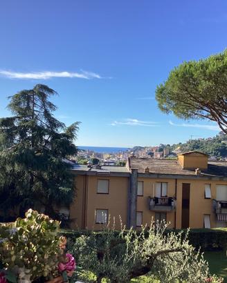 Bilocale ristrutturato Rapallo Ge