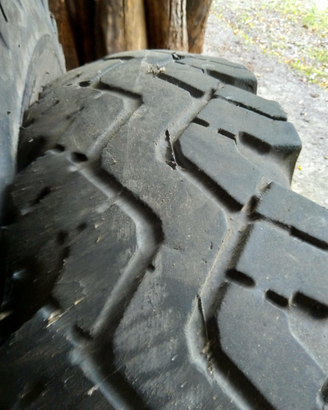 Pneumatici pinzgauer