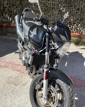 Honda Hornet 600