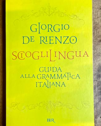 Scioglilingua - Guida alla Grammatica Italiana