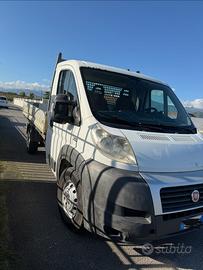 fiat ducato cassone