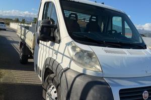fiat ducato cassone