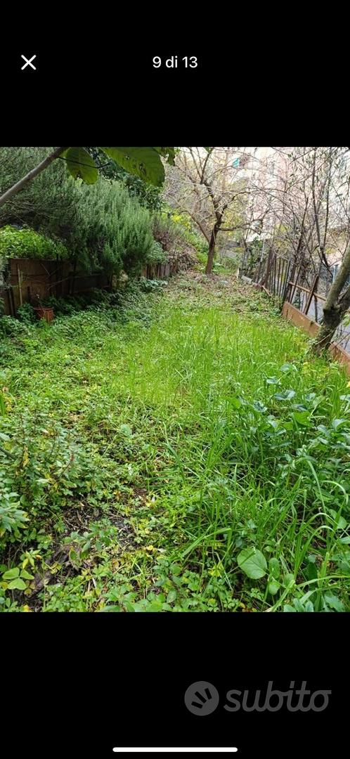 Terreno in città - Vista 2