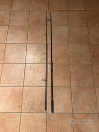 canna da pesca carpfishing