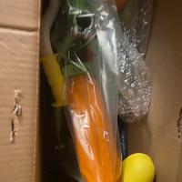 Bicicletta per bambini