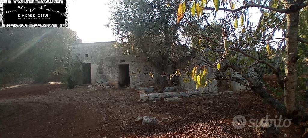 CASOLARE CON TRULLO SARACENO e LAMIA - OSTUNI - Vista 5