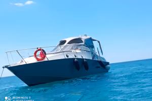 Barca PARTENAUTICA intrabordo