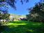 Immagine 7