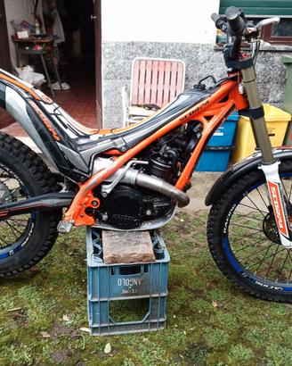 Scorpa Twenty 300 - 2018