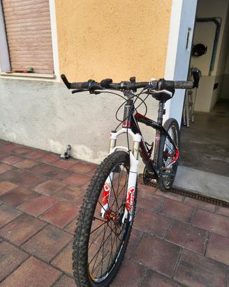 Scott muscolare frontale