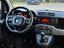 Immagine 12