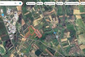 Terreno irriguo con vigna