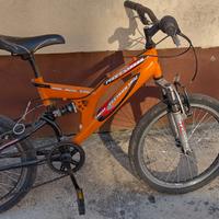 bici ruote da 20