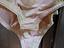 Immagine 5