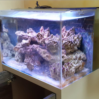 Acquario marino completo di accessoro