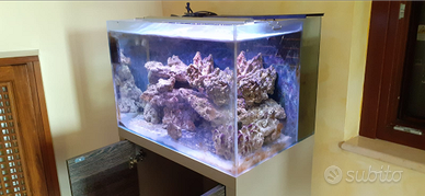 Acquario marino completo di accessoro