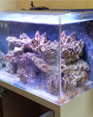 Acquario marino completo di accessoro