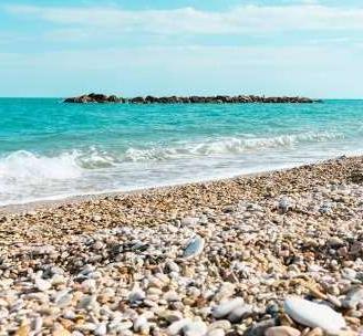 VENDITA IN ASTA - PORTO RECANATI