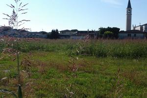 Terreno Residenziale Pozzoleone