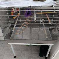 gabbia per pappagalli 