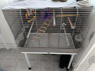 gabbia per pappagalli 